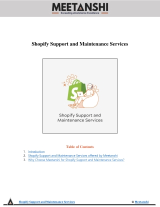 Shopify Support and Maintenance Services