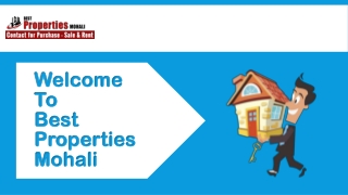 Commercial Properties for Sale in Mohali