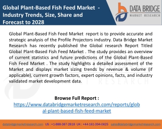 Global Plant-Based Fish Feed Market