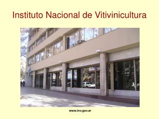 Instituto Nacional de Vitivinicultura