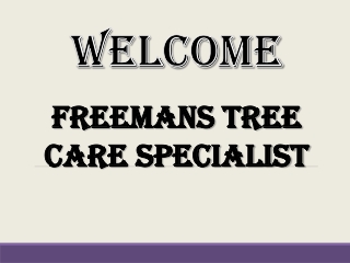 Looking for Tree Pruning in Dunstable