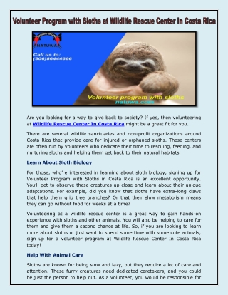 Volunteer program with sloths