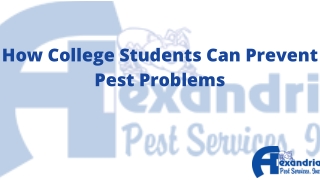 How College Students Can PreventPest Problems