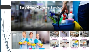 Dubai Municipality Approved Pest Control Company - SMG