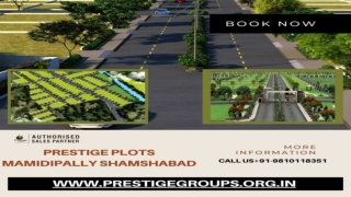 Prestige Plots Mamidipally Shamshabad Price