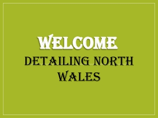 Best Mobile Detailing in Holy Island