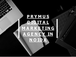 Digital Marketing Trends