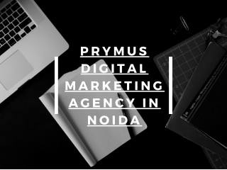 Digital Marketing Trends
