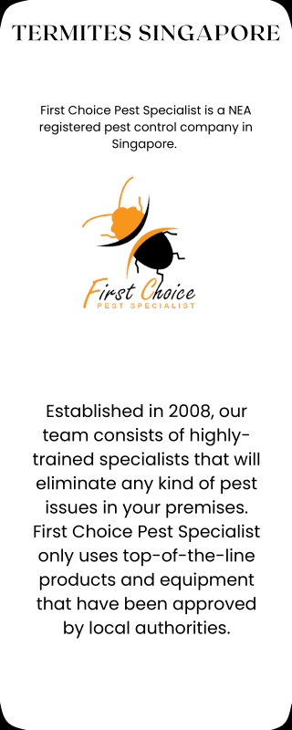Termites Singapore