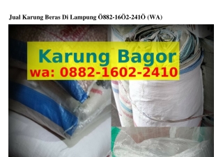 Jual Karung Beras Di Lampung ౦882_lϬ౦2_2Կl౦(whatsApp)
