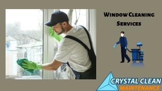 Window Cleaning Service Provider