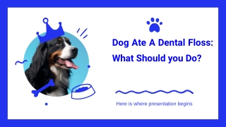 Dog Ate A Dental Floss_ Here's What You  Should Do.