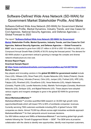 Software-Defined Wide Area Network (SD-WAN) for Government Market Stakeholder