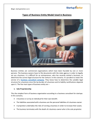 Types of Business Entity Model Used in Business