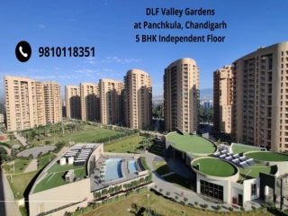 DLF Valley Gardens Live In A Green Valley