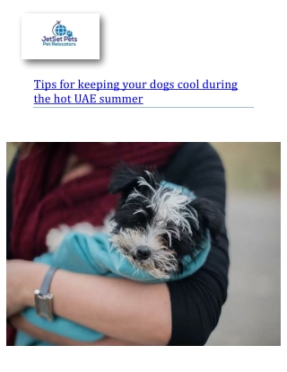 Tips for keeping your dogs cool during the hot UAE summer