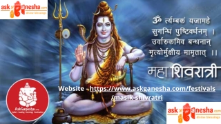 Shivratri Is One the Most Devout Festivals of Hindu Religion