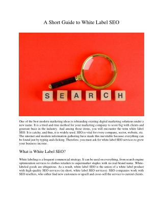 A Short Guide to White Label SEO