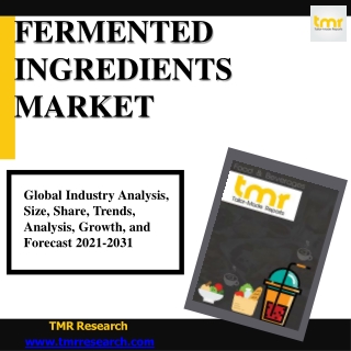Fermented Ingredients Market Promising Growth Opportunities and Forecast -2031
