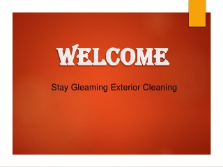Reliable Service for Gutter Cleaning in Willsbridge