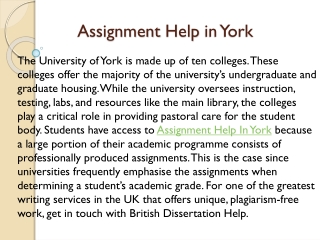 Assignment Help in York