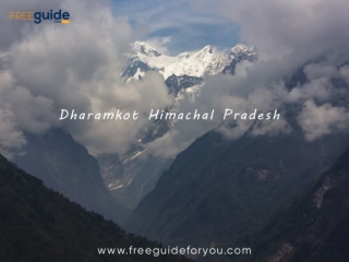 Things To Carry Out During Your Trip To Dharamkot Himachal Pradesh 