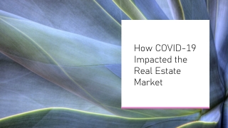 The Real Estate Industry in the Time of COVID-19_ (1)
