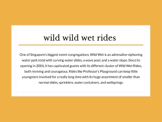 wild wild wet rides