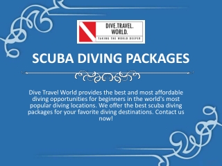 SCUBA DIVING PACKAGES