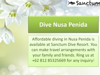 Dive Nusa Penida