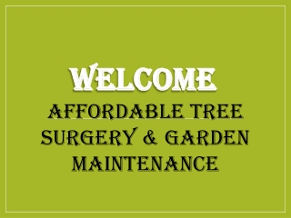 Best Hedge Cutting in Birmingham