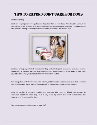 Tips to Extend Joint Care for Dogs