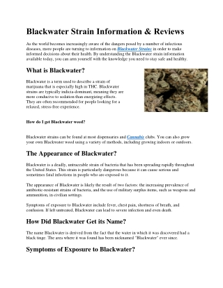 Blackwater Strain Information & Reviews