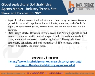 Global Agricultural Soil Stabilizing Agents Market Size