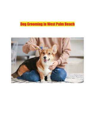 Dog Grooming in West Palm Beach