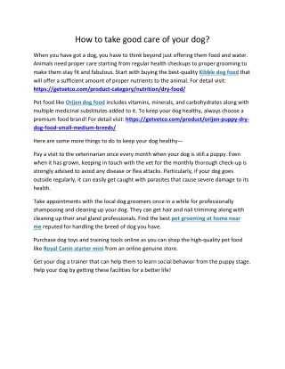 How to take good care of your dog?