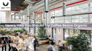 Here’s Why You Should Try Coffee Beans Organic