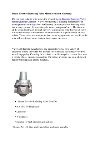 Steam Pressure Reducing Valve Manufacturer in Germany