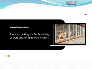 Are you Looking for Pet boarding or Dog boarding in Washington?