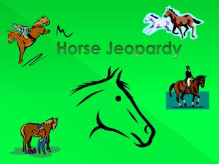 Horse Jeopardy