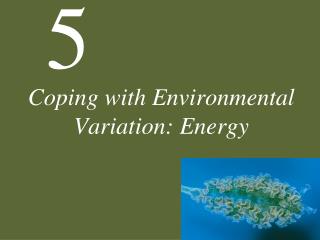Coping with Environmental Variation: Energy