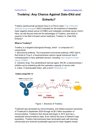 Trodelvy Any Chance Against Dato-DXd and Enhertu