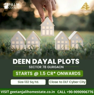 Pyramid Palm County Deen Dayal Plots