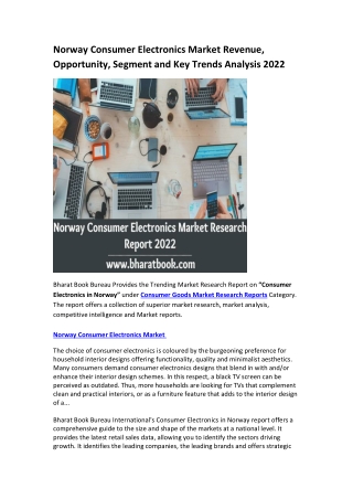 Norway Consumer Electronics Market Research Report 2022