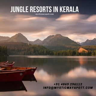 Jungle Resorts In Kerala