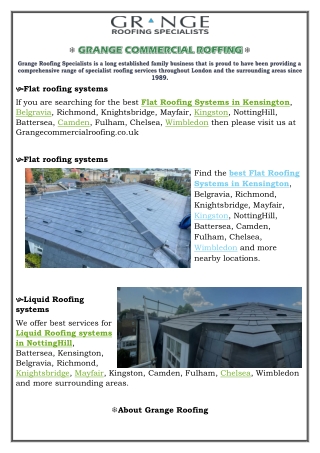 Liquid Roofing systems Fulham