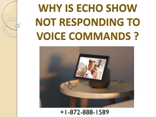 Why my Echo Show Not Responding ? Fix It