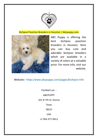 Bichpoo Poochon Breeders in Houston  Abcpuppycom