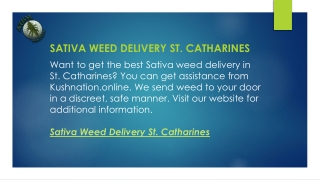 Sativa Weed Delivery St. Catharines  Kushnation.online