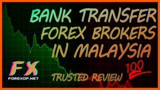 Bank Transfer Forex Brokers In Malaysia